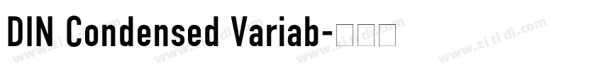DIN Condensed Variab字体转换